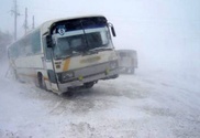 Автобус с гражданами Узбекистана сошел в кювет в Акмолинской области