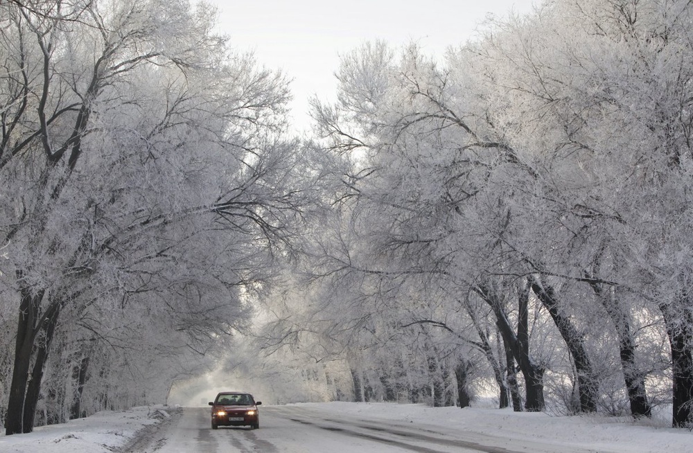 Фото REUTERS/Shamil Zhumatov ©