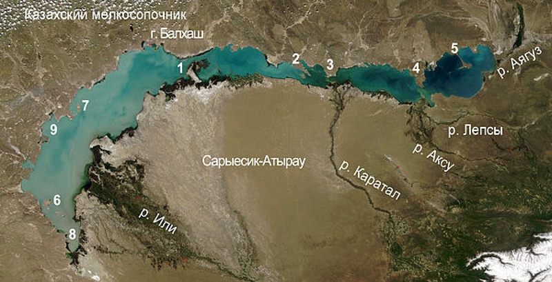 Вид на озеро Балхаш из космоса. Снимок NASA
