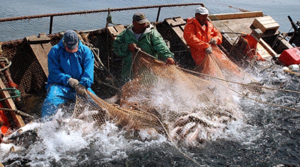 Рыболовство. Фото РИА Новости©