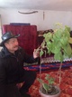 Кыргызский садовод поставит 500 саженцев березы в парк имени Первого Президента в Алматы