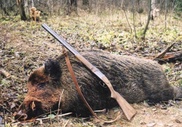 Группа браконьеров задержана в Восточном Казахстане