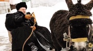 Жириновский продал осла на аукционе