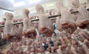 Украина прекратила поставки курятины в Таможенный союз