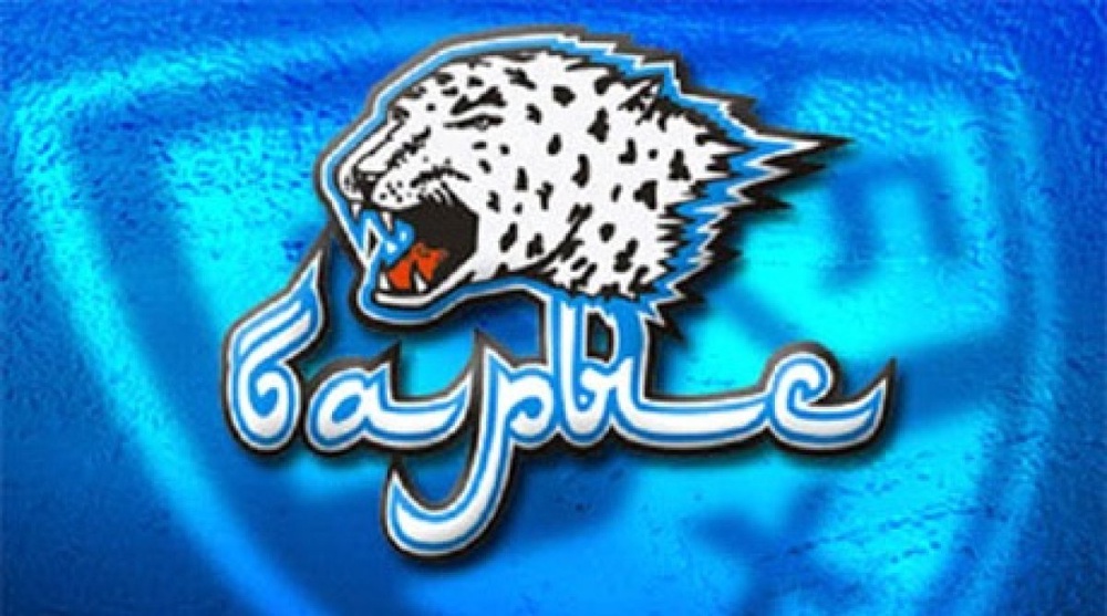 Эмблема хоккейного клуба "Барыс". Изображение из архива Tengrinews.kz