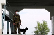 Пограничники пресекли ввоз оружия в Казахстан из Кыргызстана