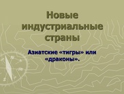 Казахстан не сможет в одиночку стать "Азиатским тигром"