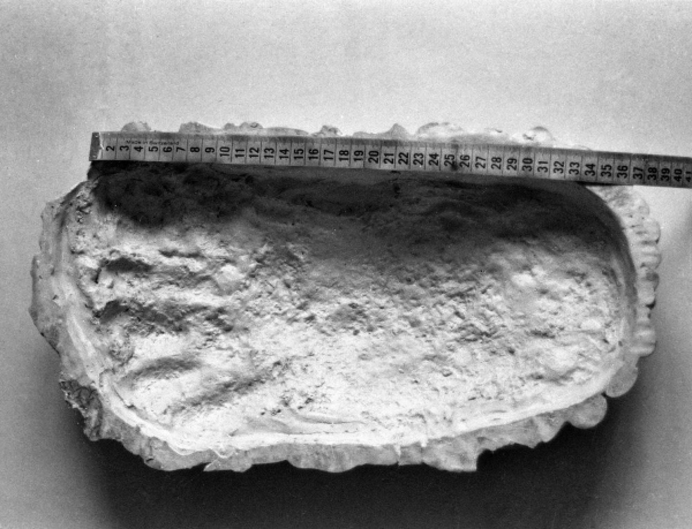 Отпечаток следа "снежного человека", обнаруженный в августе 1979 года на Тибете. Фото ©РИА Новости
