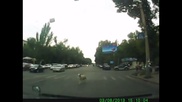 Баран бегал по центру Алматы