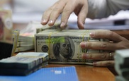 44 тысячи долларов похитил сотрудник банка со счета жительницы Усть-Каменогорска 