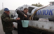 Украина запретила ввоз из Беларуси молочных товаров из-за африканской чумы