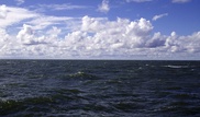 Химоружие времен ВОВ отравляет Балтийское море