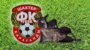 Греческих баранов защитили от карагандинского "Шахтера"