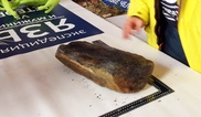 Челябинский метеорит оказался ровесником Солнечной системы
