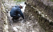 Британцы опередили французов в поедании лягушек на 8 тысяч лет