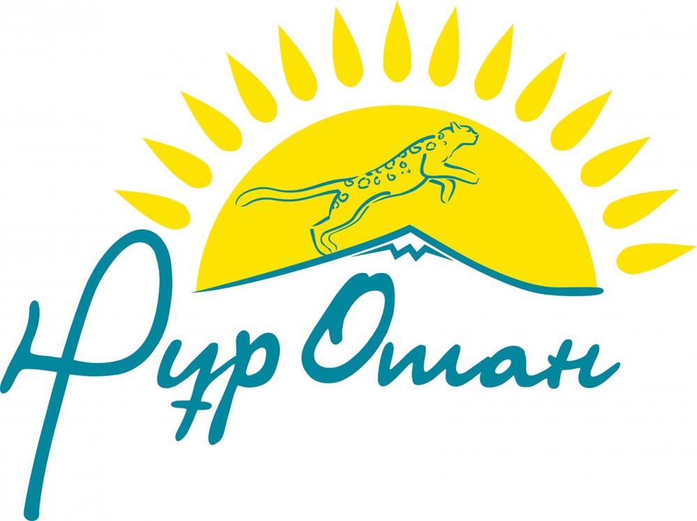 Логотип партии "Нур Отан" 