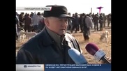 Доскалиев посетил слет разводчиков казахских борзых в Павлодарской области