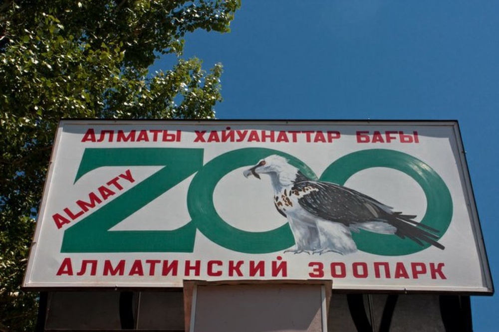 Фото ©almatyzoo.kz