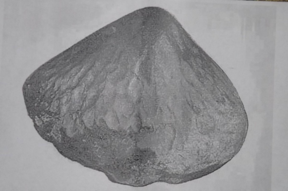 Каракольский метеорит