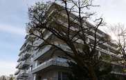 В неприметной квартире нашли похищенные нацистами сокровища
