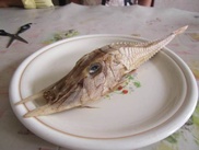 Малайзийский рыбак поймал неизвестное существо