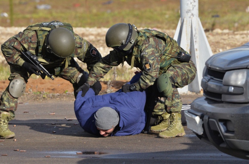 Военнослужащие войск специального назначения проводят задержание. ©РИА Новости