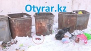 Мать выбросила в мусорку труп младенца в Шымкенте