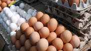 АЗК ведет расследование по факту подорожания яиц в 9 областях Казахстана
