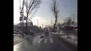 В Алматы собака выучила правила дорожного движения