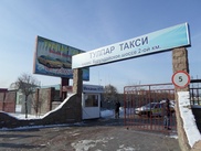 Начальник совершившего убийство девушки в Алматы таксиста вызван в прокуратуру