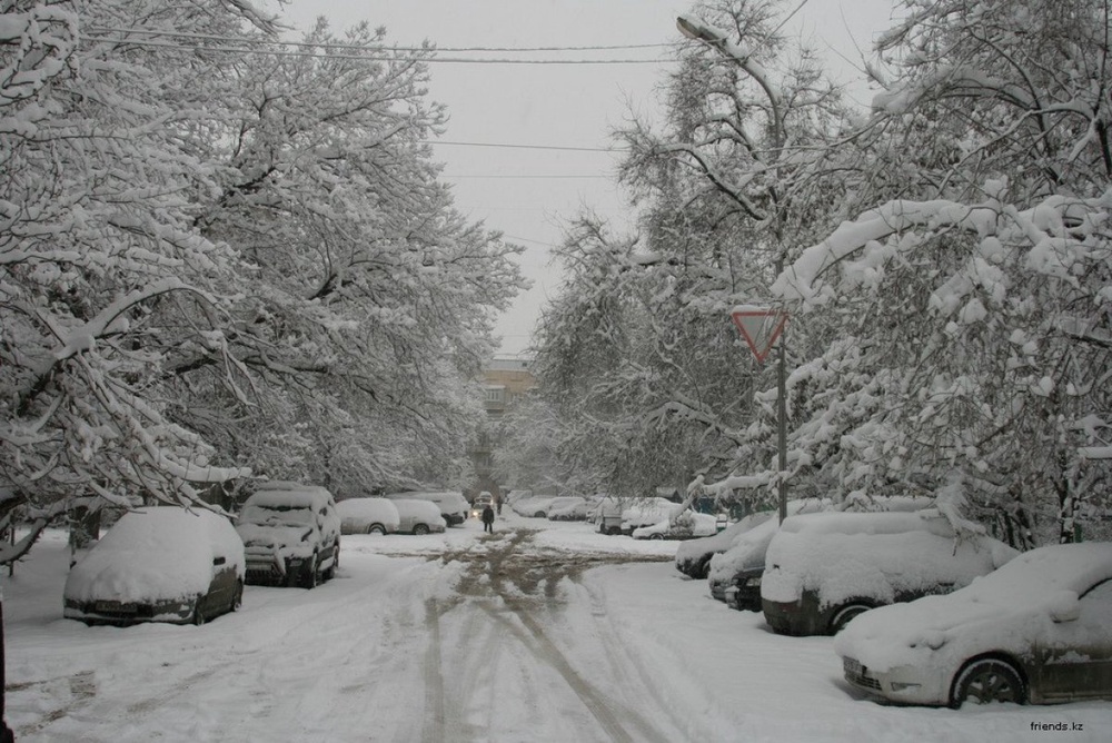 Снег в Алматы. Фото friends.kz