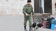 На железнодорожном вокзале Шымкента искали бомбу