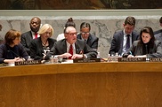 В Совбезе ООН призвали участников конфликта на Украине не обострять ситуацию