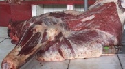 Утверждены квоты на ввоз мяса в Казахстан