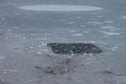 Полицейские Астаны спасли провалившихся под лед школьников