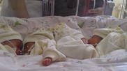 В семье из Южного Казахстана родилась четверня