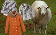 Zara и  Benetton будут использовать казахстанскую шерсть