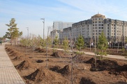 Около 7 тысяч деревьев и кустарников посажено на субботнике в Астане
