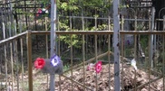 Жительница Павлодара самовольно захватила городское кладбище