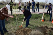 Крымбек Кушербаев подал "грязнулям" личный пример