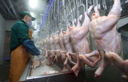 Казахстан не вводил запрета на ввоз мяса птицы из России и Беларуси
