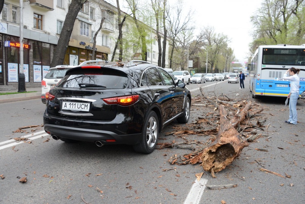 Основной удар пришелся на крышу машины. Фото ©Роман Егоров