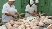 Зараженное сальмонеллой куриное мясо изымают из продажи в Петропавловске