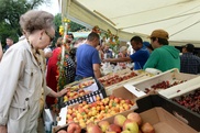 Более 220 тонн продуктов продали на ярмарке в Алматы
