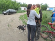 Собака-спаситель двухлетней девочки оказалась бродячей