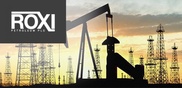 Roxi Petroleum Kazakhstan обнаружила запасы нефти на своей первой скважине