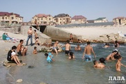 Кишки и шкуры баранов в море обнаружили жители Актау