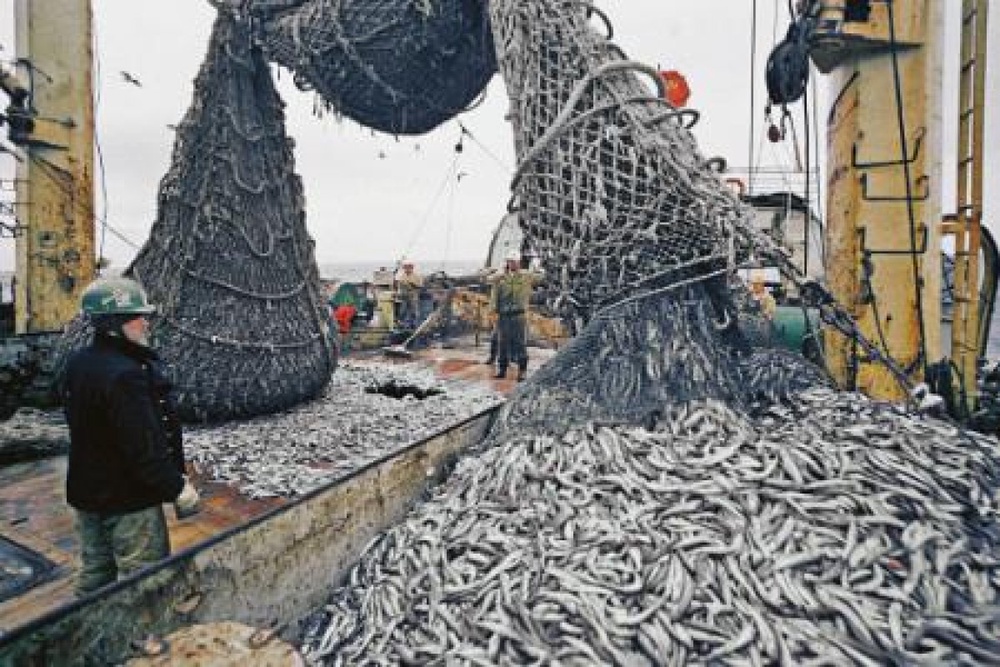 Рыболовство на Каспийском море