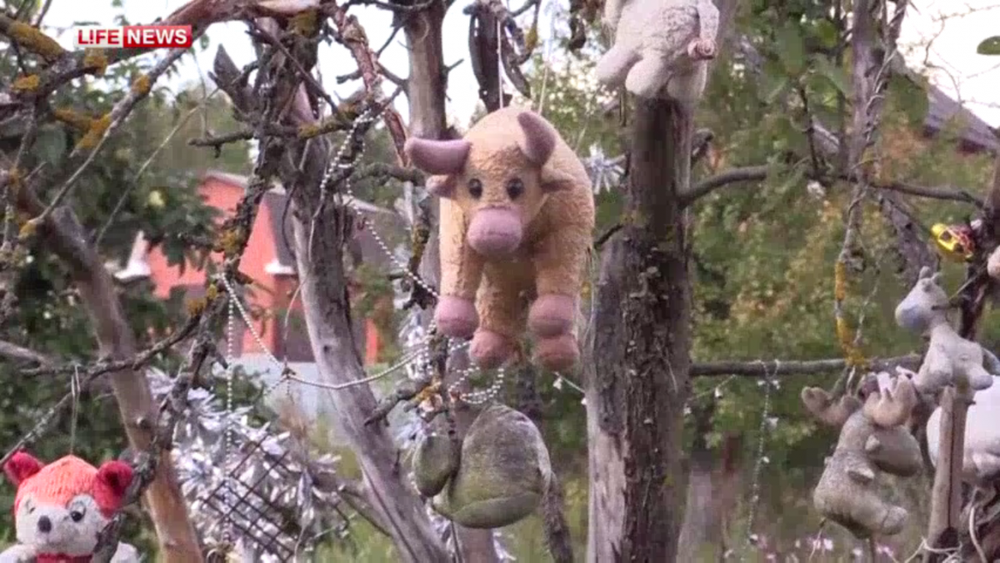 Игрушки были развешаны на деревьях перед домом убитой. © lifenews.ru