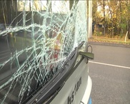 "Байговавший" автобус в Алматы сбил насмерть пешехода